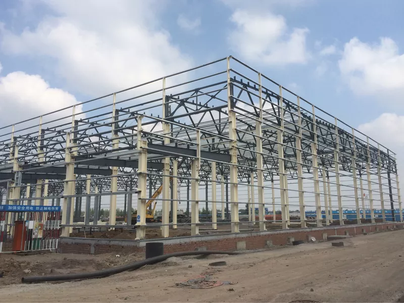 Matipid na Steel Frame Housing